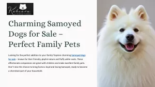 Charming Samoyed Dogs for Sale: Perfect Family Pets