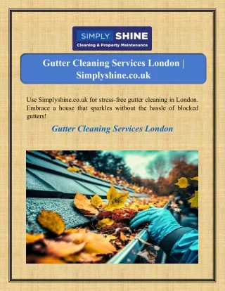 Gutter Cleaning Services London