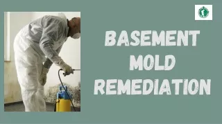 Reliable Basement Mold Remediation Services by Mack's Mold Removal.
