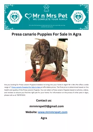 Presa canario Puppies For Sale In Agra