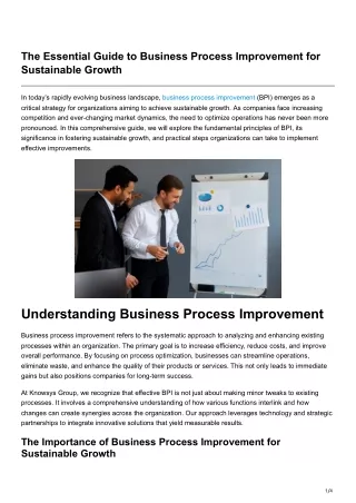 The Essential Guide to Business Process Improvement for Sustainable Growth