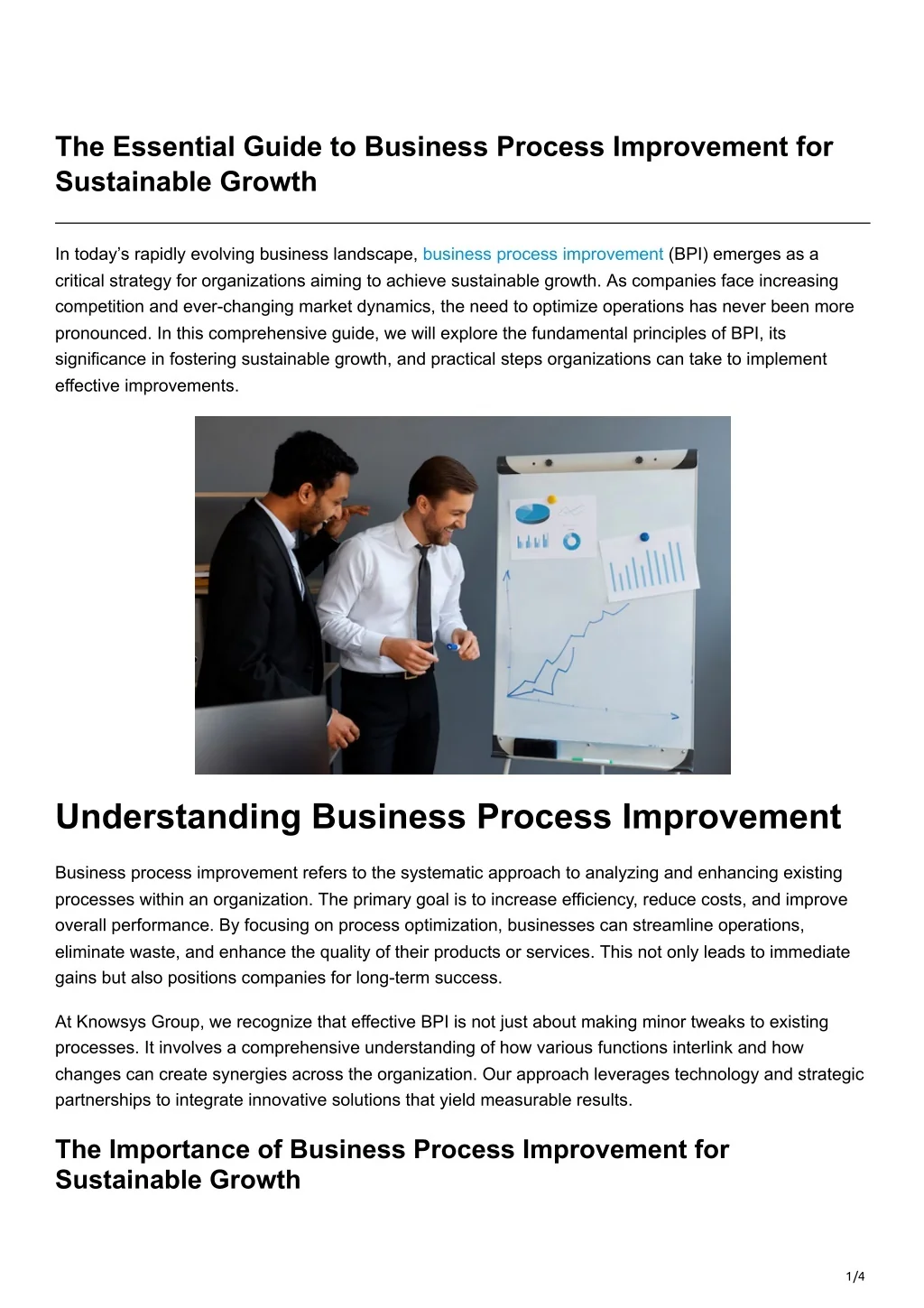 PPT - The Essential Guide to Business Process Improvement for ...