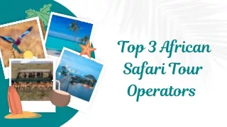 Top 3 African Safari Tour Operators