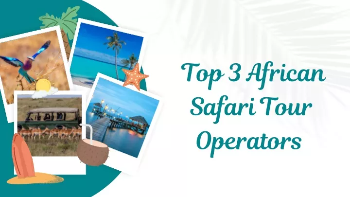 top 3 african safari tour operators