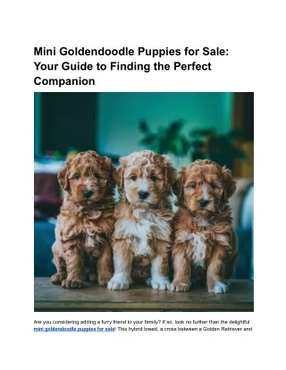 Mini Goldendoodle Puppies for Sale_ Your Guide to Finding the Perfect Companion