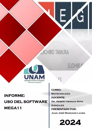INFORME_Uso_Mega