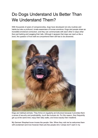 do dogs understand us better than we understand