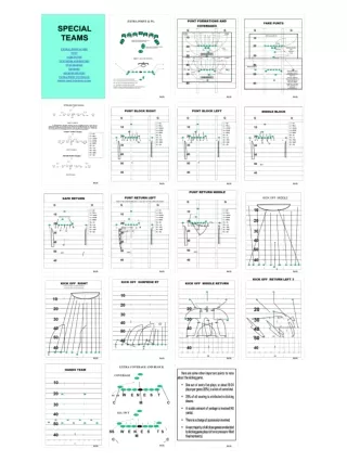 PLAYBOOK SPECIALTEAMS
