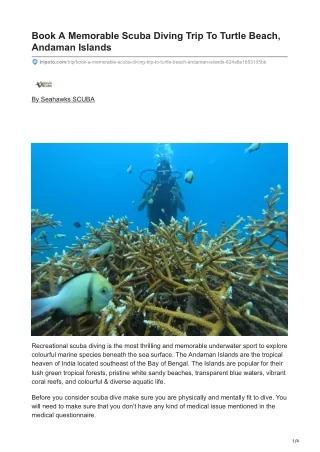 Experience The Best Scuba Diving at Turtle Beach, Andaman Islands