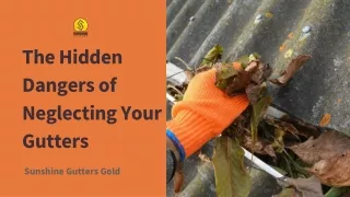 The Hidden Dangers of Neglecting Your Gutters