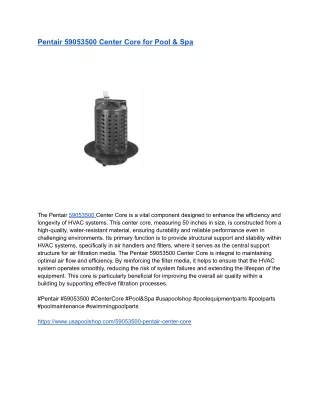 Pentair 59053500 Center Core for Pool & Spa