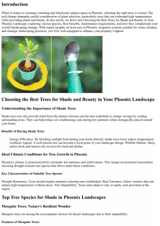 Choosing the Best Trees for Shade and Beauty in Your Phoenix Landscape