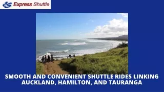 Smooth and Convenient Shuttle Rides Linking Auckland, Hamilton, and Tauranga