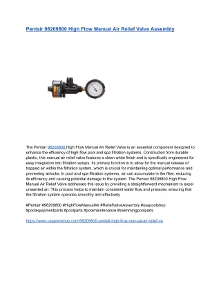Pentair 98209800 High Flow Manual Air Relief Valve Assembly