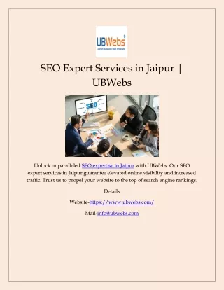 SEO Expert Services in Jaipur