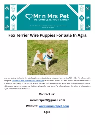 Fox Terrier Wire Puppies For Sale In Agra