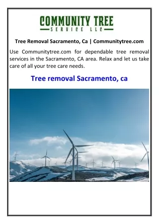 Tree Removal Sacramento, Ca | Communitytree.com