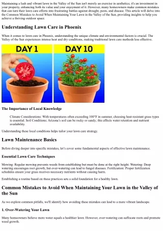 “Common Mistakes to Avoid When Maintaining Your Lawn in the Valley of the Sun”