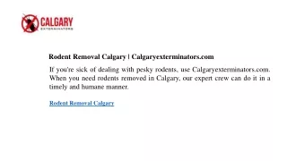 Rodent Removal Calgary  Calgaryexterminators.com