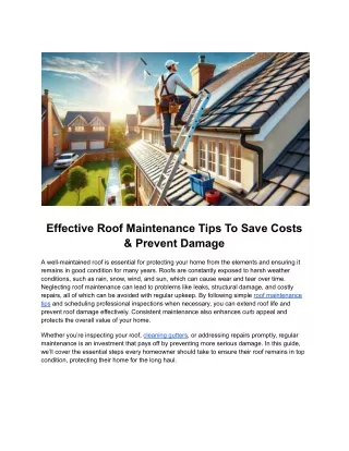 Effective Roof Maintenance Tips To Save Costs & Prevent Damage