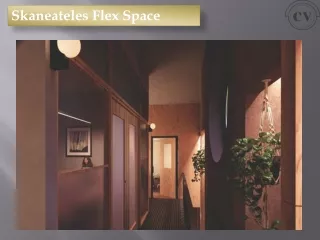 Skaneateles Flex Space