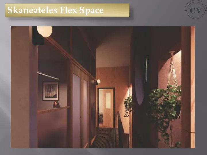 skaneateles flex space