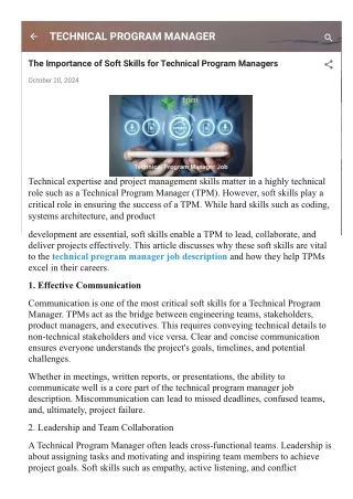 technical program manager