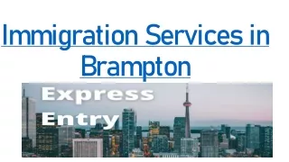 Best Immigration Service  in Brampton