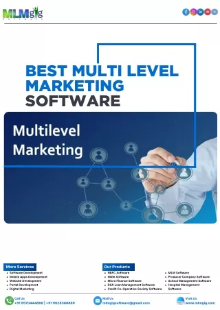 MLM software development