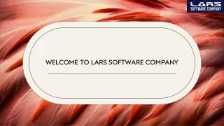 Agencia de marketing digital con LARS Software Company.