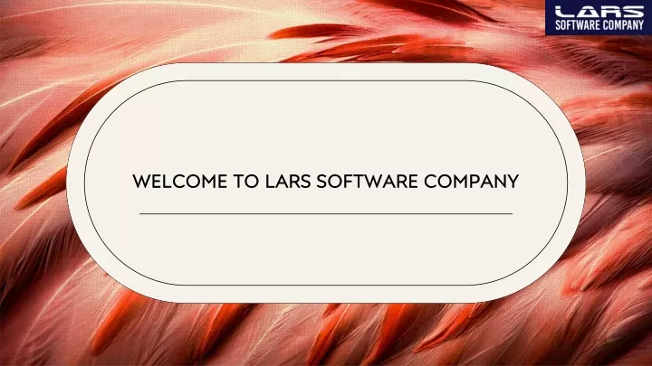 welcome to lars software company