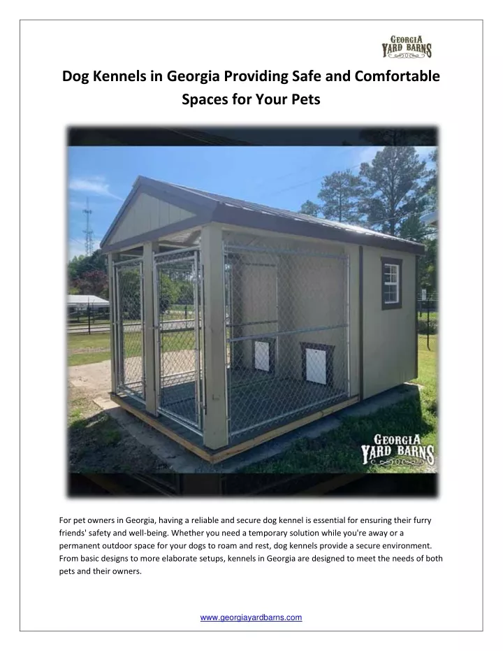 dog kennels in georgia providing safe