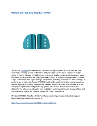 Pentair GW7506 Seal Flap Kit for Pool