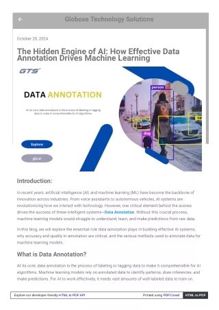 The Hidden Engine of AI: How Effective Data Annotation Drives Machine Learning