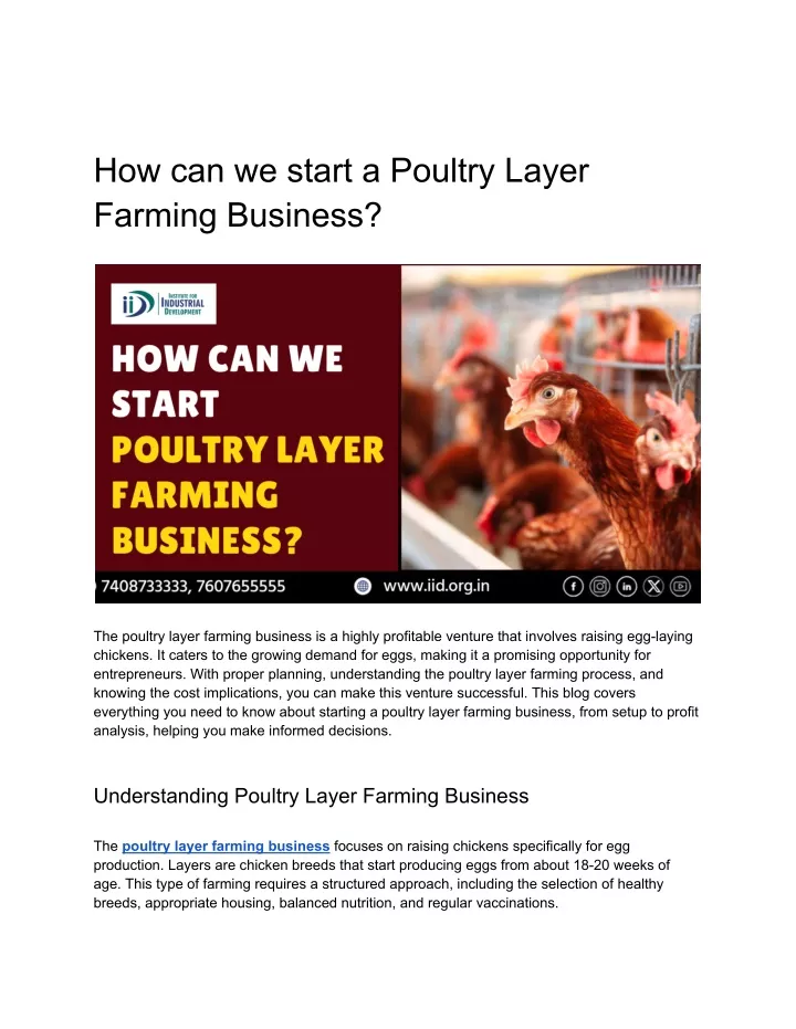 how can we start a poultry layer farming business