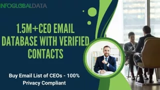 1 5m ceo email database with verified contacts