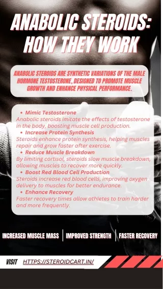 Anabolic Steroids How They Work and Their Effects on the Body