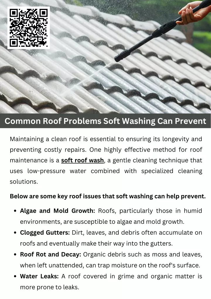 common roof problems soft washing can prevent