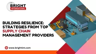 Building Resilience: Strategies from Top Supply Chain Management Providers