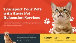 transport your pets with anvis pet relocation