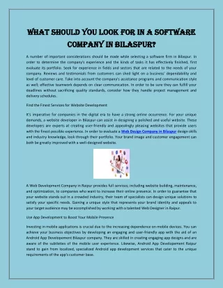 What Should You Look for in a Software Company in Bilaspur?