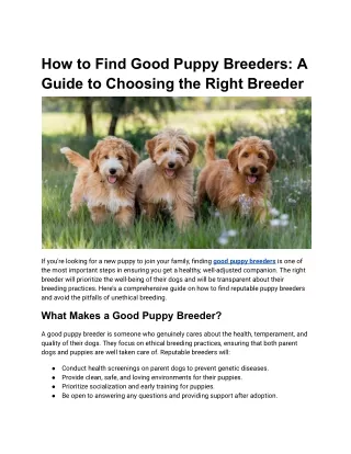 how to find good puppy breeders a guide