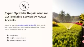 Expert Sprinkler Repair Windsor CO  Reliable Service by NOCO Accents