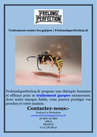 Traitement contre les guêpes  Frelonslaperfection.fr