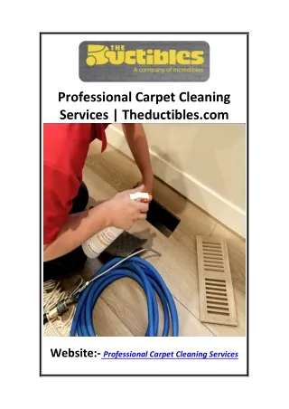 Professional Carpet Cleaning Services Theductibles.com