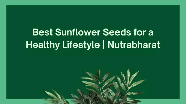 best sunflower seeds for a healthy lifestyle