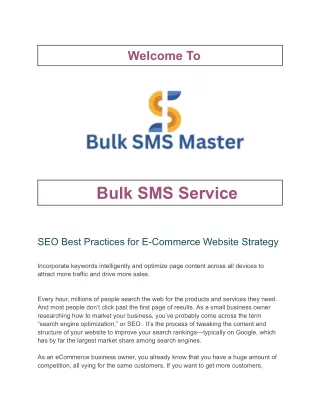SEO Best Practices for E-Commerce Website Strategy