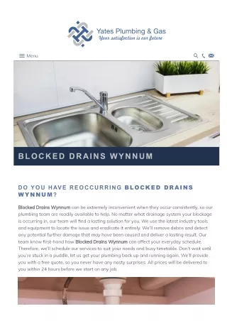 Blocked Drains Wynnum