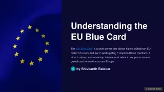 understanding the eu blue card