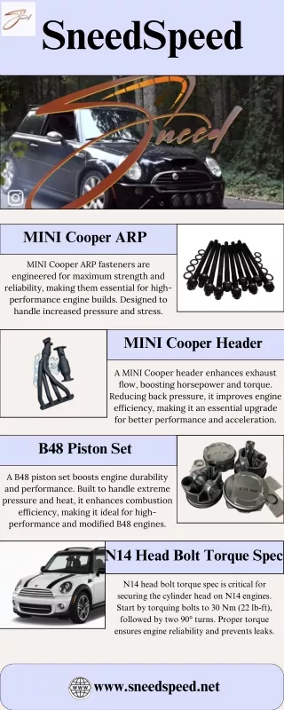 B48 Piston Set